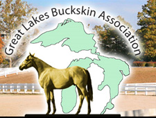 Great Lakes Buckskin Association